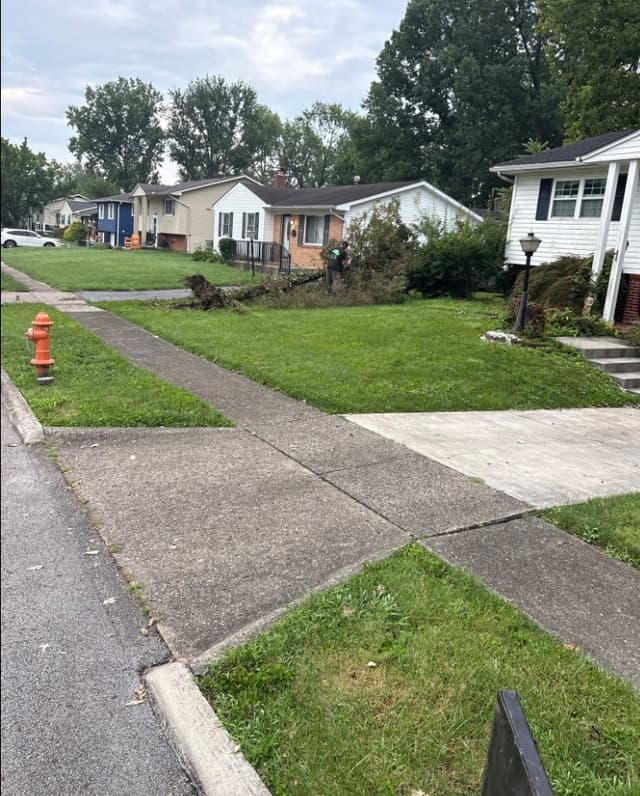 A tree down across a front lawn after a storm on a Reynoldsburg street: city tree removal by A.S.H. Tree Service, serving Columbus, OH