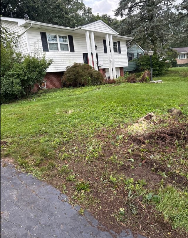 A cleared front lawn with the stump ground out and the soil raked back: stump grinding by A.S.H. Tree Service, serving Columbus, OH