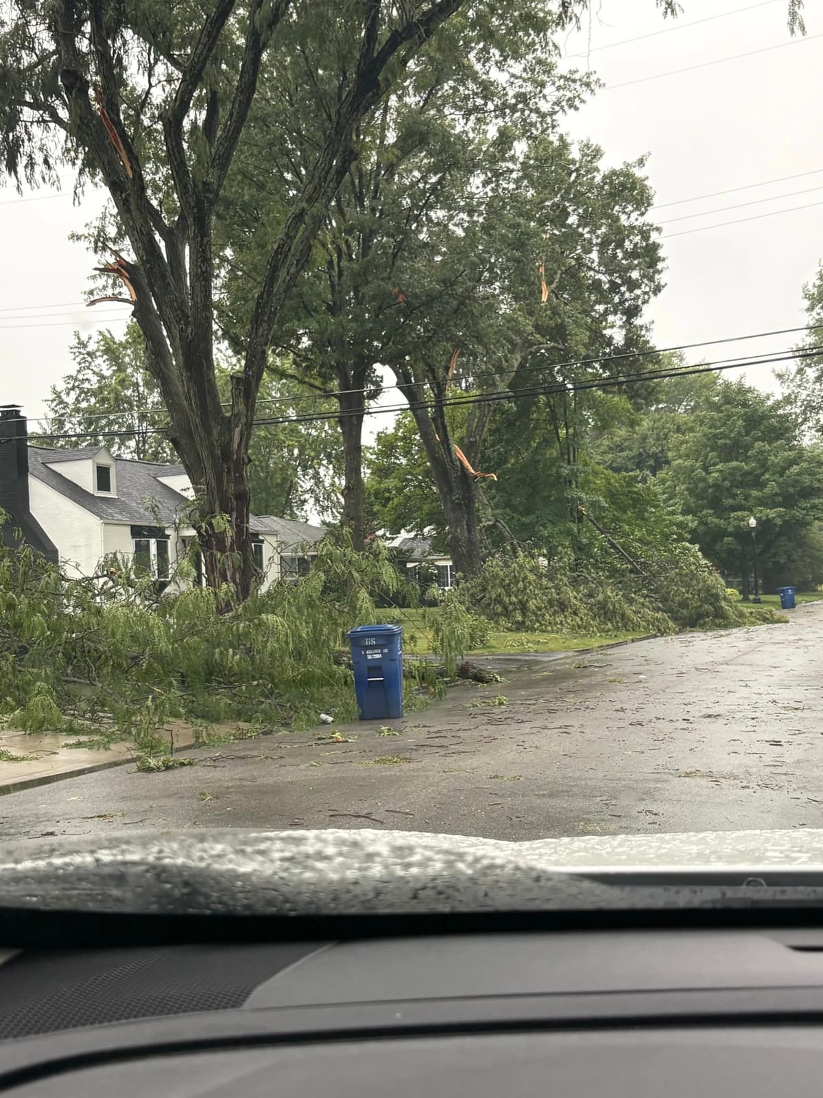Storm damage across a Reynoldsburg street, limbs down over the road and the tree lawn: tree pruning by A.S.H. Tree Service, serving Columbus, OH