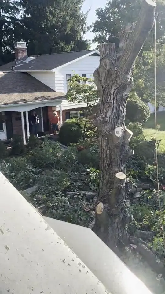 The A.S.H. bucket truck in a driveway with its boom raised: tree removal by A.S.H. Tree Service, serving Blacklick, OH