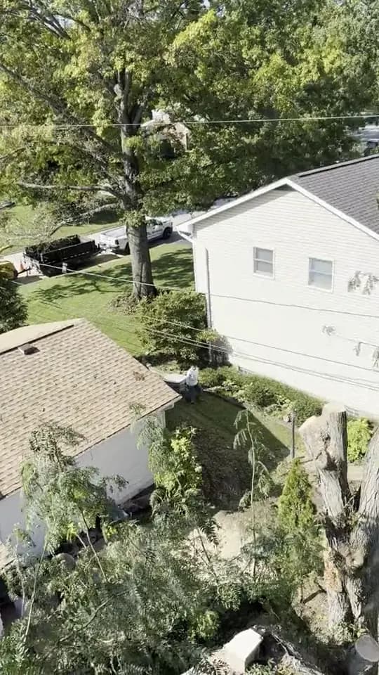 Looking down from the bucket at the yard and the trunk below: tree removal by A.S.H. Tree Service, serving Canal Winchester, OH