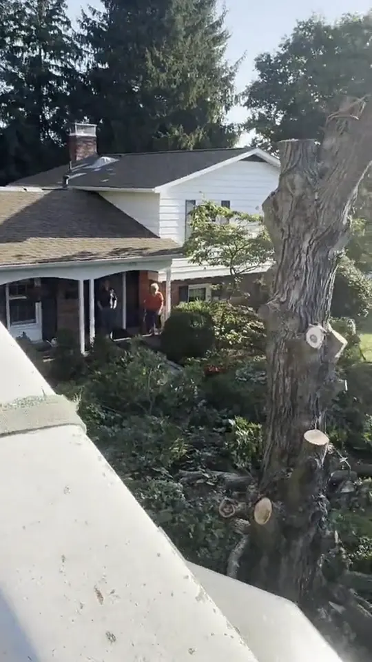 From the bucket, a trunk being cut down in sections over a front yard: tree removal by A.S.H. Tree Service, serving Dublin, OH