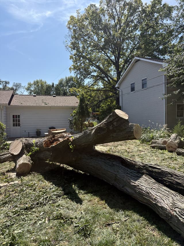 Sections of a felled trunk lying on the lawn between two houses: tree removal by A.S.H. Tree Service, serving Lancaster, OH