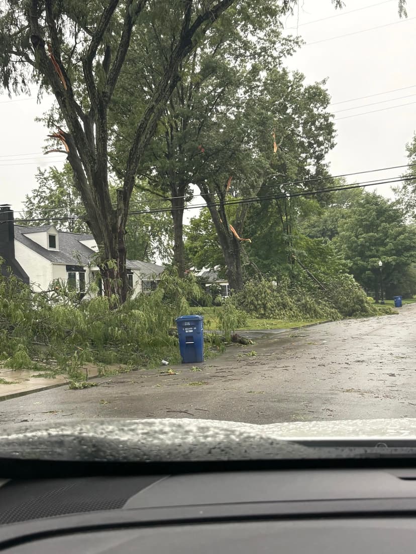 Storm damage across a residential street, limbs down over the road and the tree lawn: tree removal by A.S.H. Tree Service, serving New Albany, OH